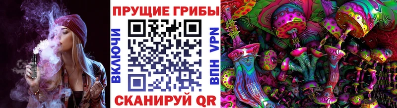 наркотики  Алексин  Псилоцибиновые грибы прущие грибы 